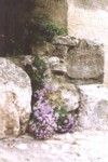 Castellaras